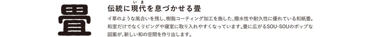 伝統畳テキスト