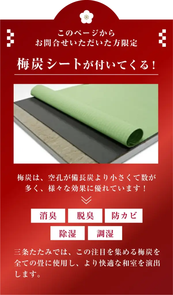 梅炭シートがついてくる!