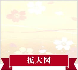 高級織物、拡大図