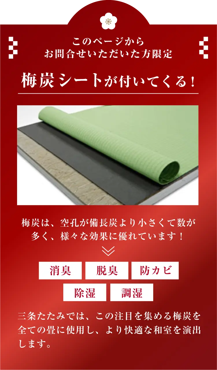 梅炭シートがついてくる！