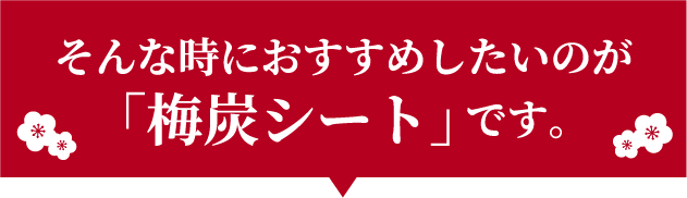 そんな時におすすめしたいのが「梅炭シート」です。