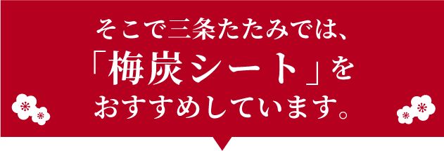 そんな時におすすめしたいのが「梅炭シート」です。