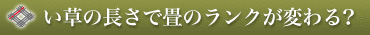 い草の長さで畳のランクが変わる?